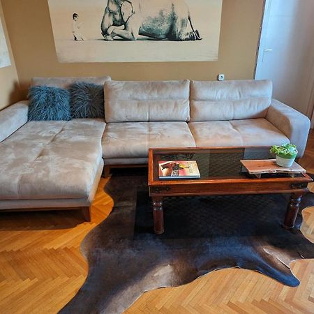 Center, Private Garage, Danube & Fortress, 3 Bdrm 2 Bath Novi Sad Exterior foto